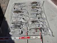 �g�� 20251103_130544.jpg