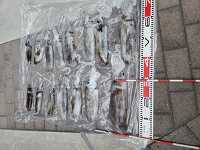 �g�� 20251123_165005.jpg