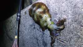 �g�� KIMG2904.JPG