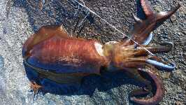 �g�� KIMG2910.JPG